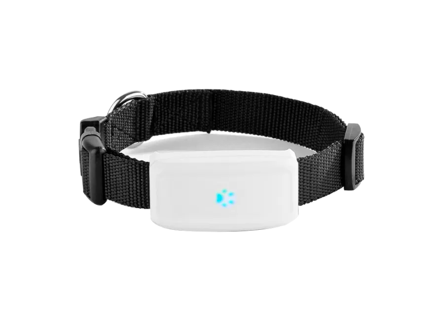JUNEO TK911 collar animal gps tracker